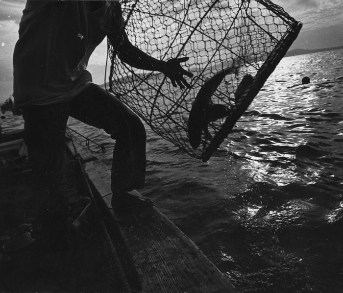 Fishing in Minamata Bay